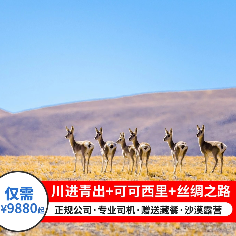 川进青出+可可西里+丝绸之路18日游